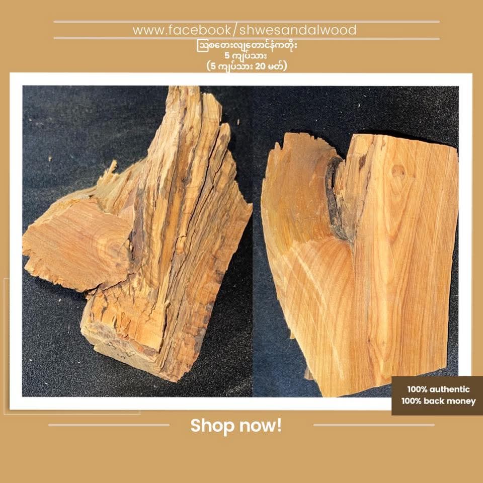 Shwe Sandalwood_ဩစတေးလျ တောင်နံကတိုး_68