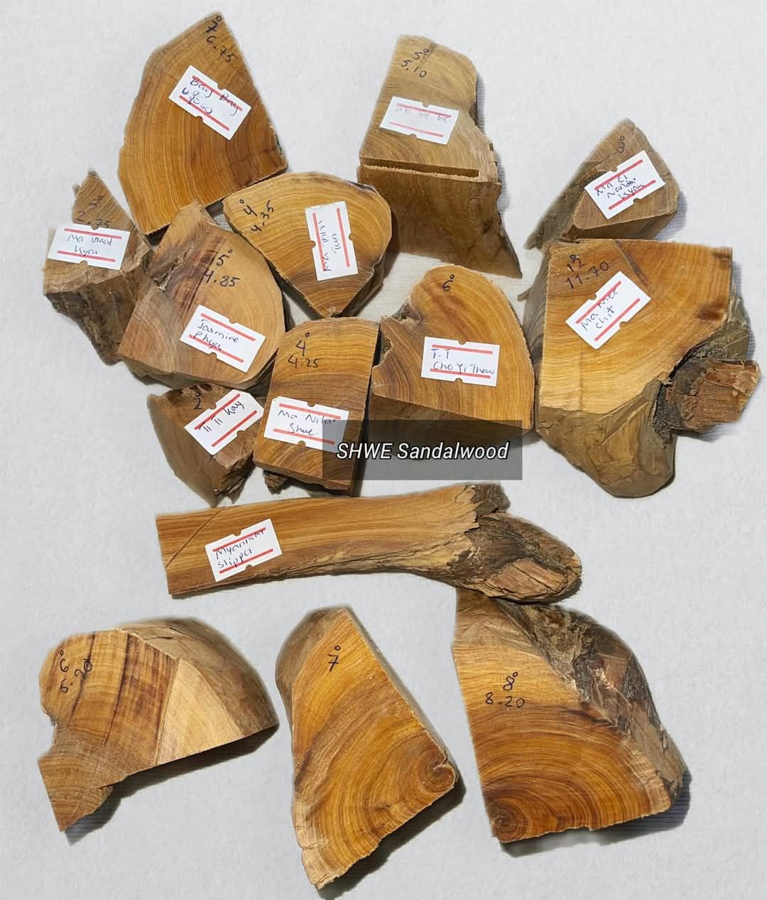 Shwe Sandalwood_ဩစတေးလျ တောင်နံကတိုး_6