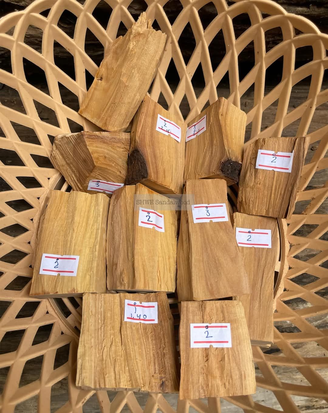Shwe Sandalwood_ဩစတေးလျ တောင်နံကတိုး_9