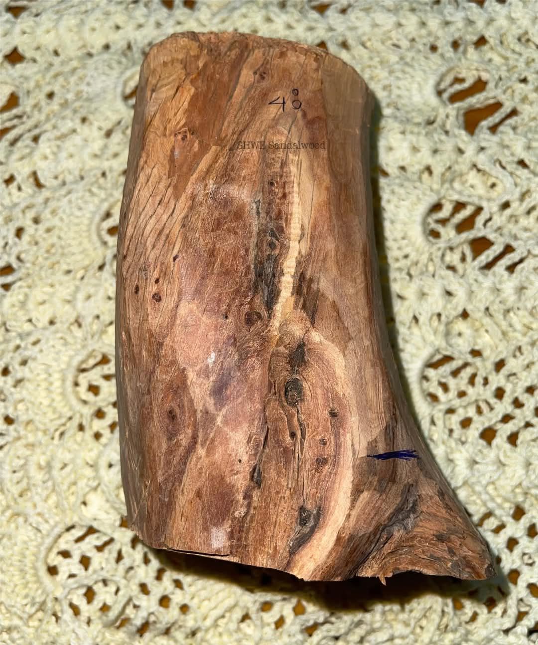 Shwe Sandalwood_ဩစတေးလျ တောင်နံကတိုး_51