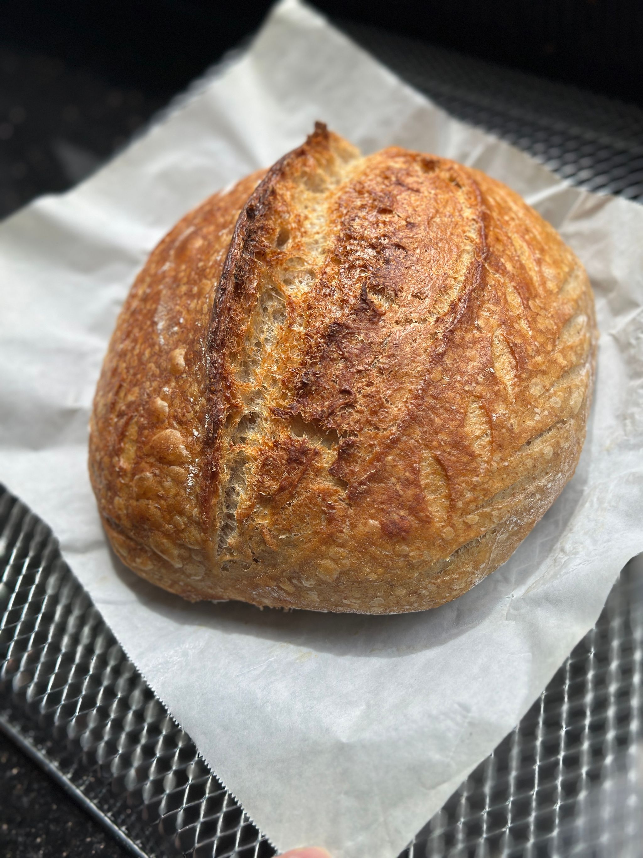 Classic Wholemeal Sourdough Loaf_0