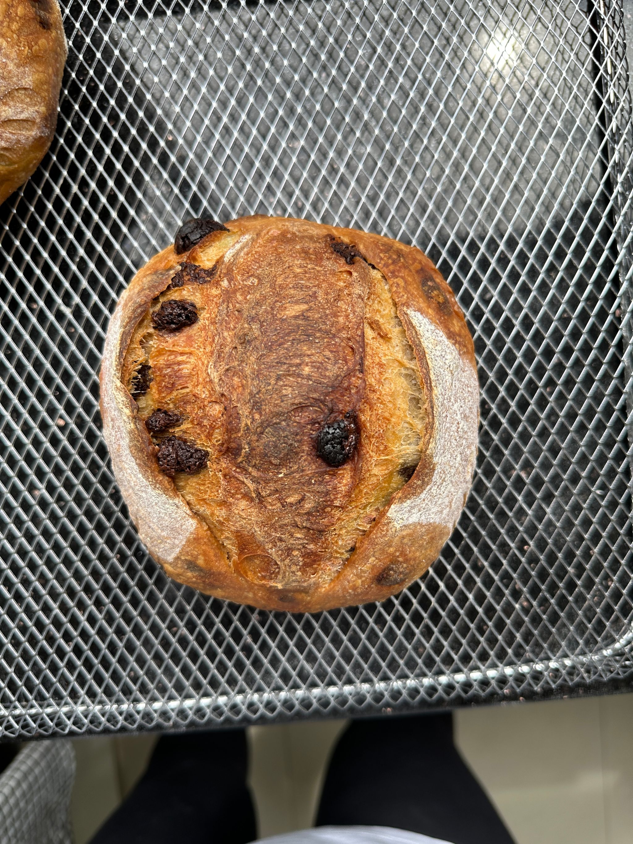 Chocolate Chip Mini Sourdough Loaf_0