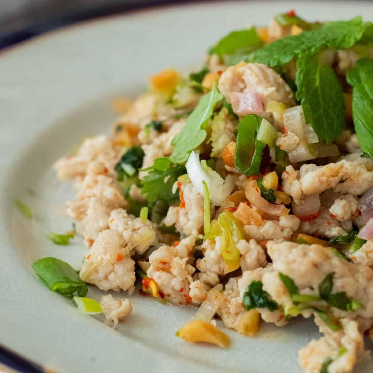 Chicken Salad Minced or Grilled (LARB KAI or NAMTOK KAI)_0