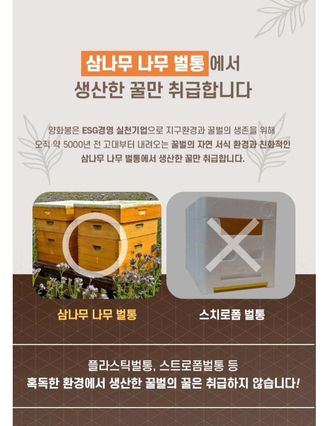 양화봉 꿀스틱12g 30개 ×3박스_1