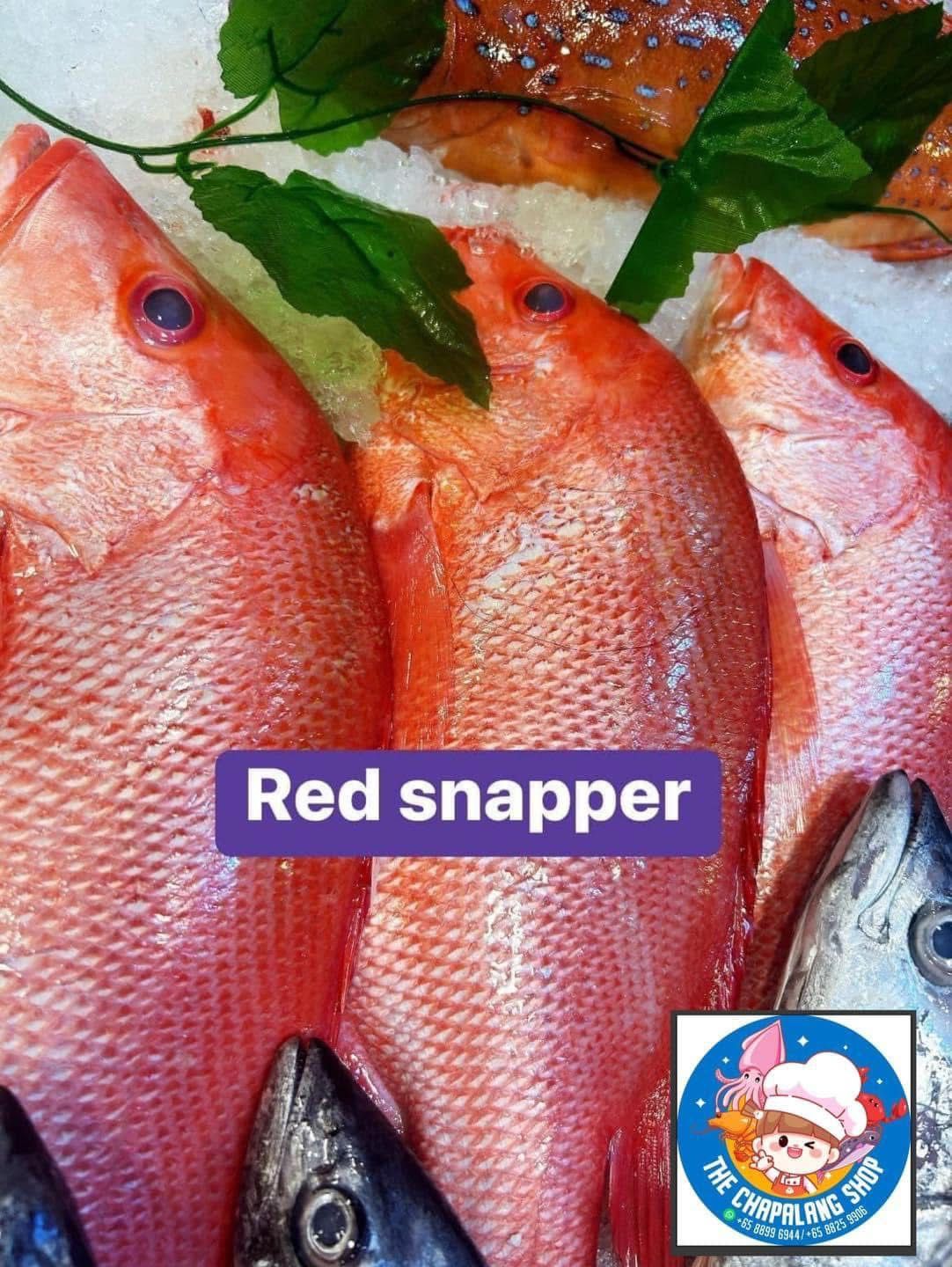 Whole Red Snapper 900grams-1kg_0