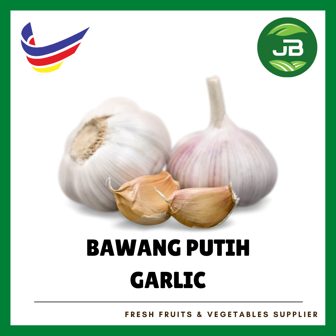 BAWANG PUTIH 葱头_0