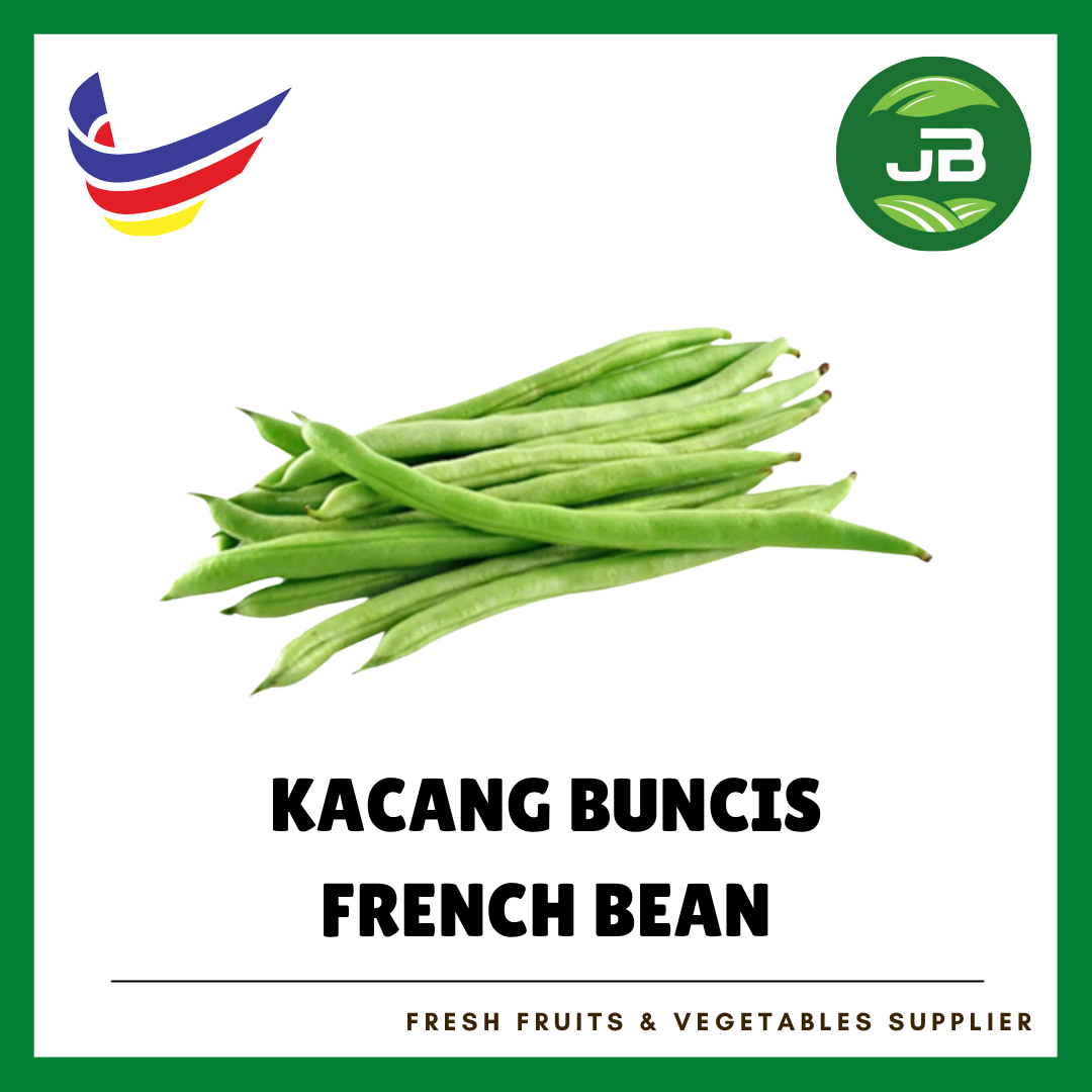 KACANG BUNCIS 四季豆_0