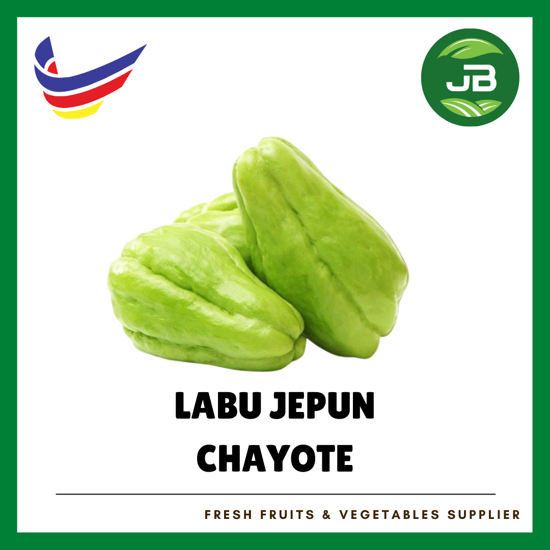 LABU JEPUN 佛手瓜_0