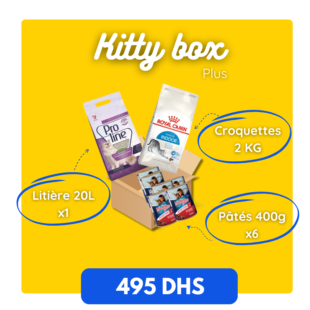 Kitty Box Plus_0