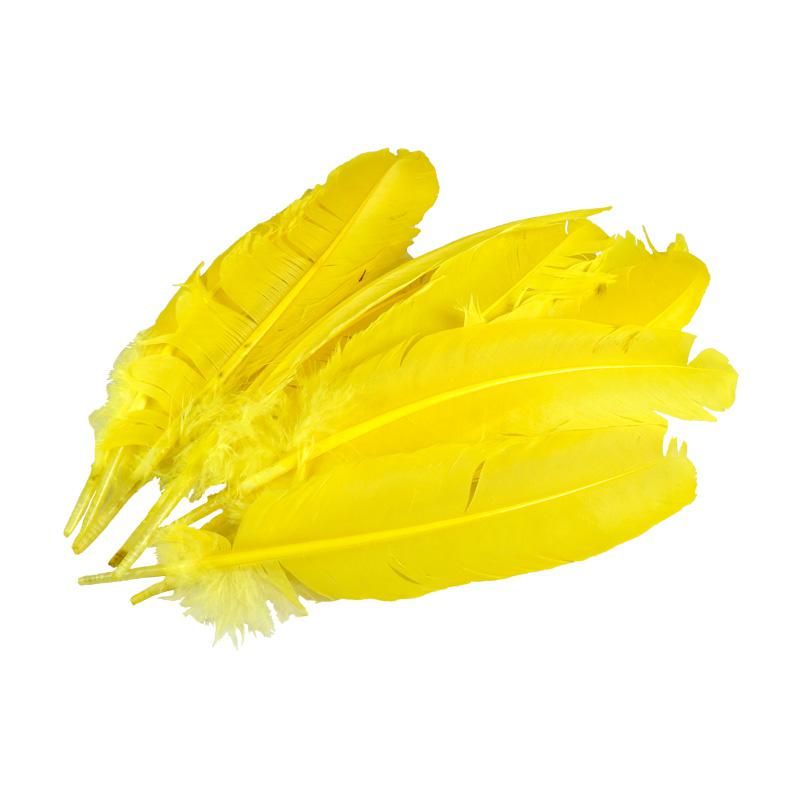 Pluma de Gallo Amarilla 10gr (9 Plumas 17cm) _0