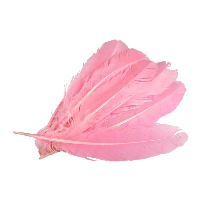 Pluma de Gallo Rosa 10gr (9 Plumas 17cm) _0