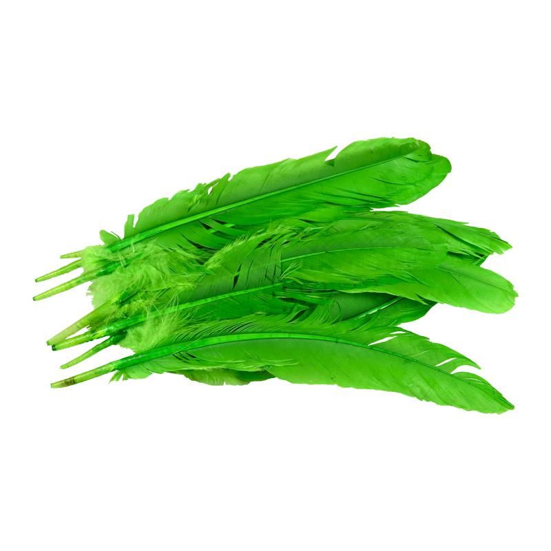 Pluma de Gallo Verde 10gr (9 Plumas 17cm) _0