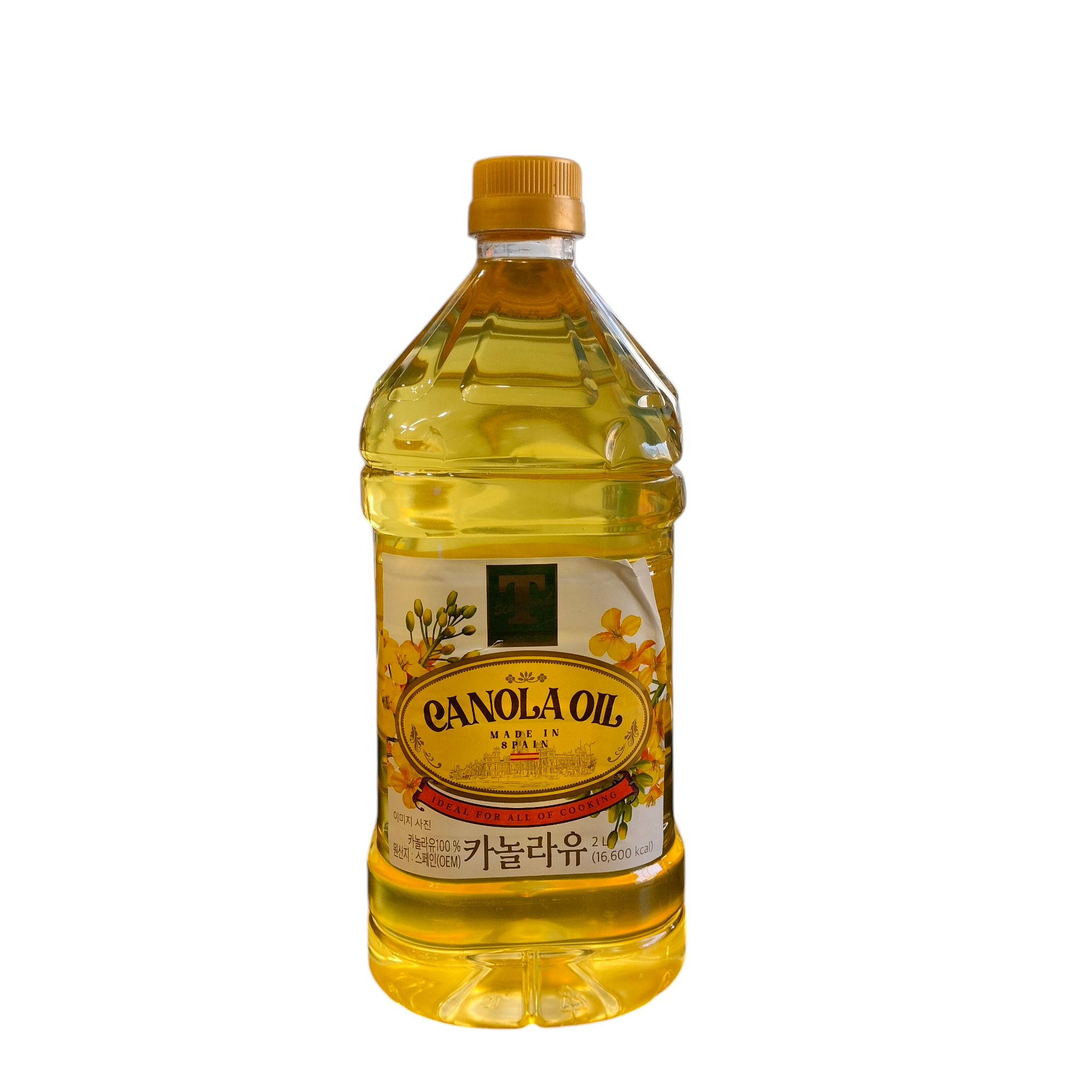 Standard Canola Oil 2L_0