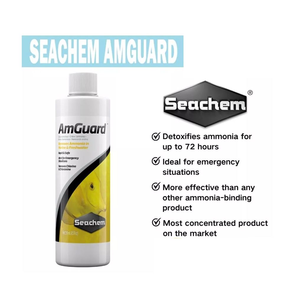 Seachem AmGuard - Ammonia Remover Am Guard ( 100ml / 250ml  / 500ml )_1