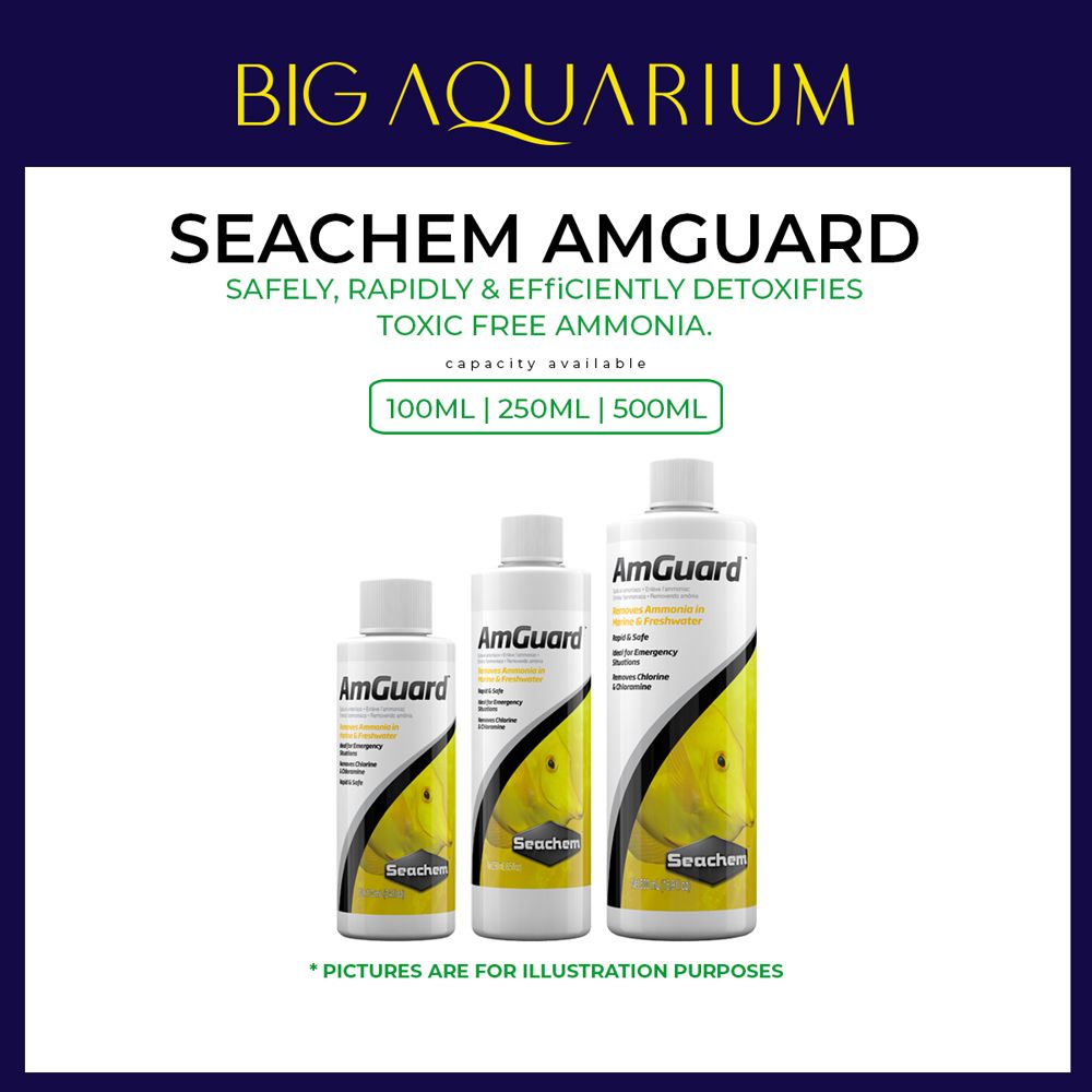 Seachem AmGuard - Ammonia Remover Am Guard ( 100ml / 250ml  / 500ml )_0