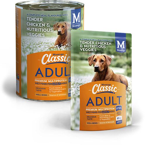 Classic Wet Food for Adult Dogs_0