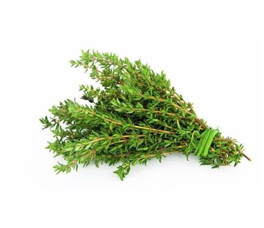 Thym / Thyme_0