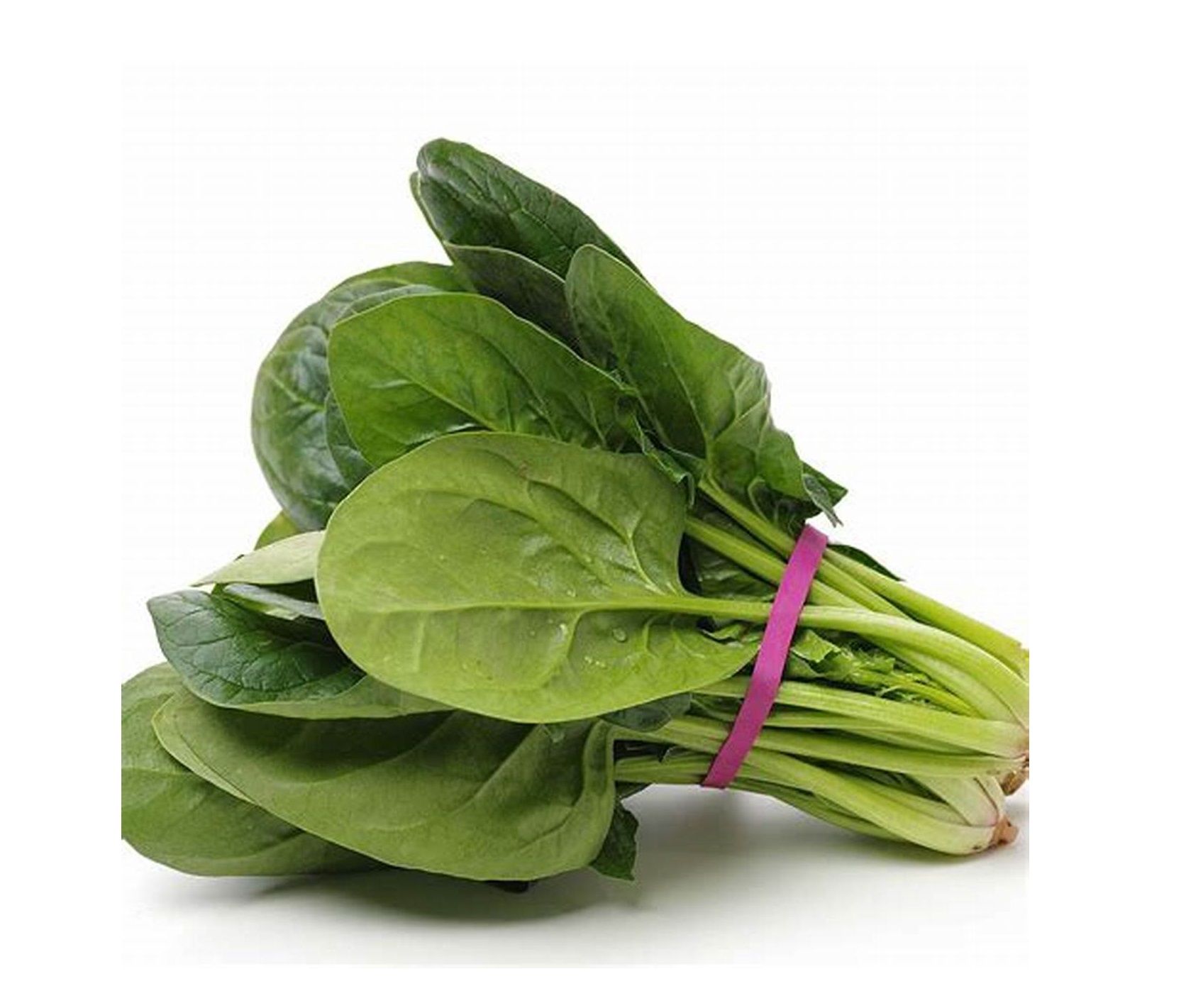 Epinard / Spinach_0