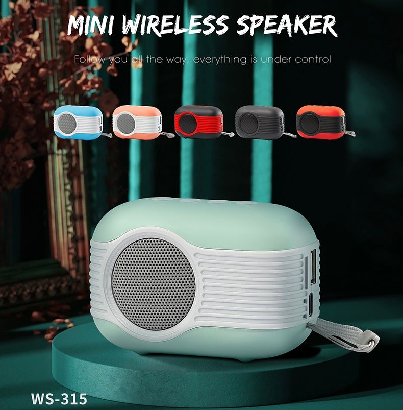 WS 315 (radio)_1