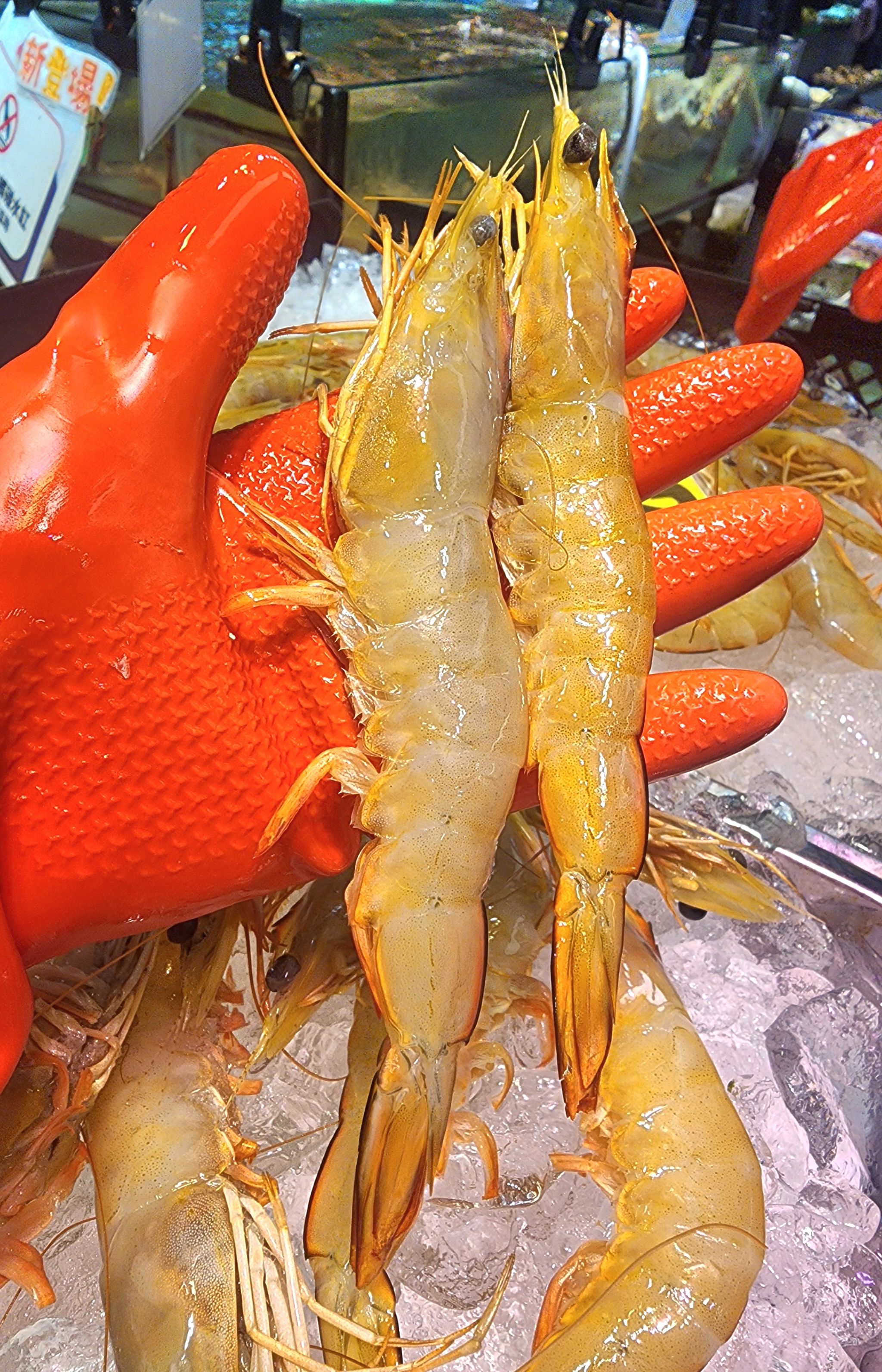 澳洲急凍野生白蝦🦐 （7-8隻）（半斤）_0