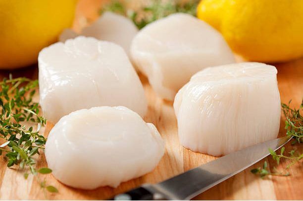 Fukuyama Hokkaido Scallop 10-20 - 400g_0