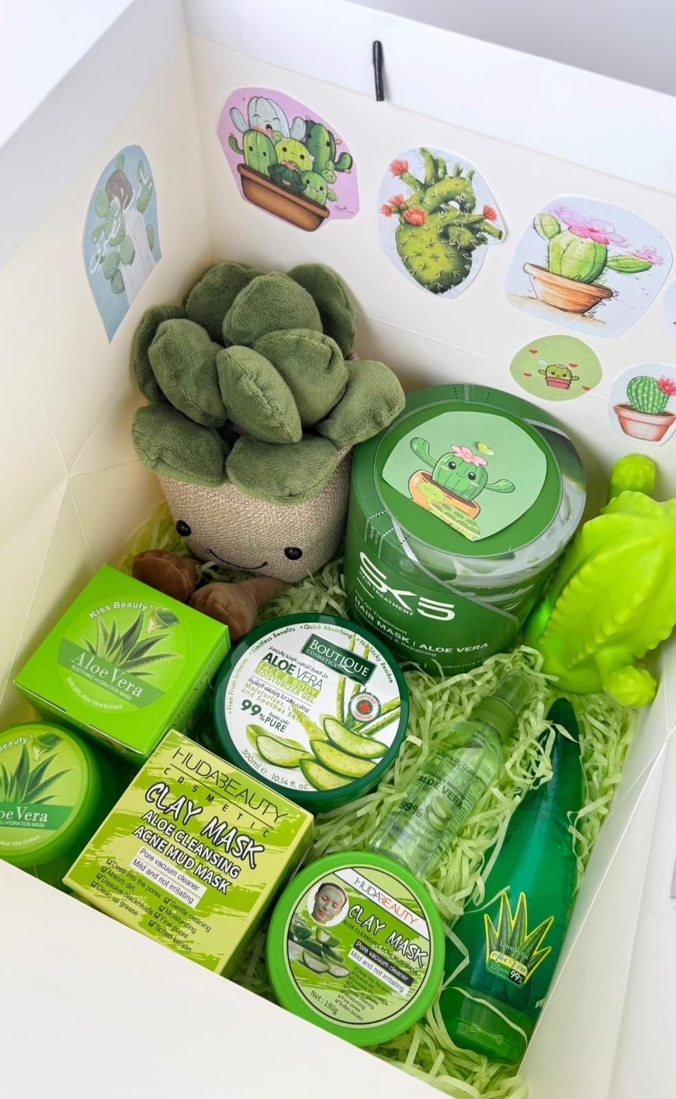 بكج الصبار اللطيف_0