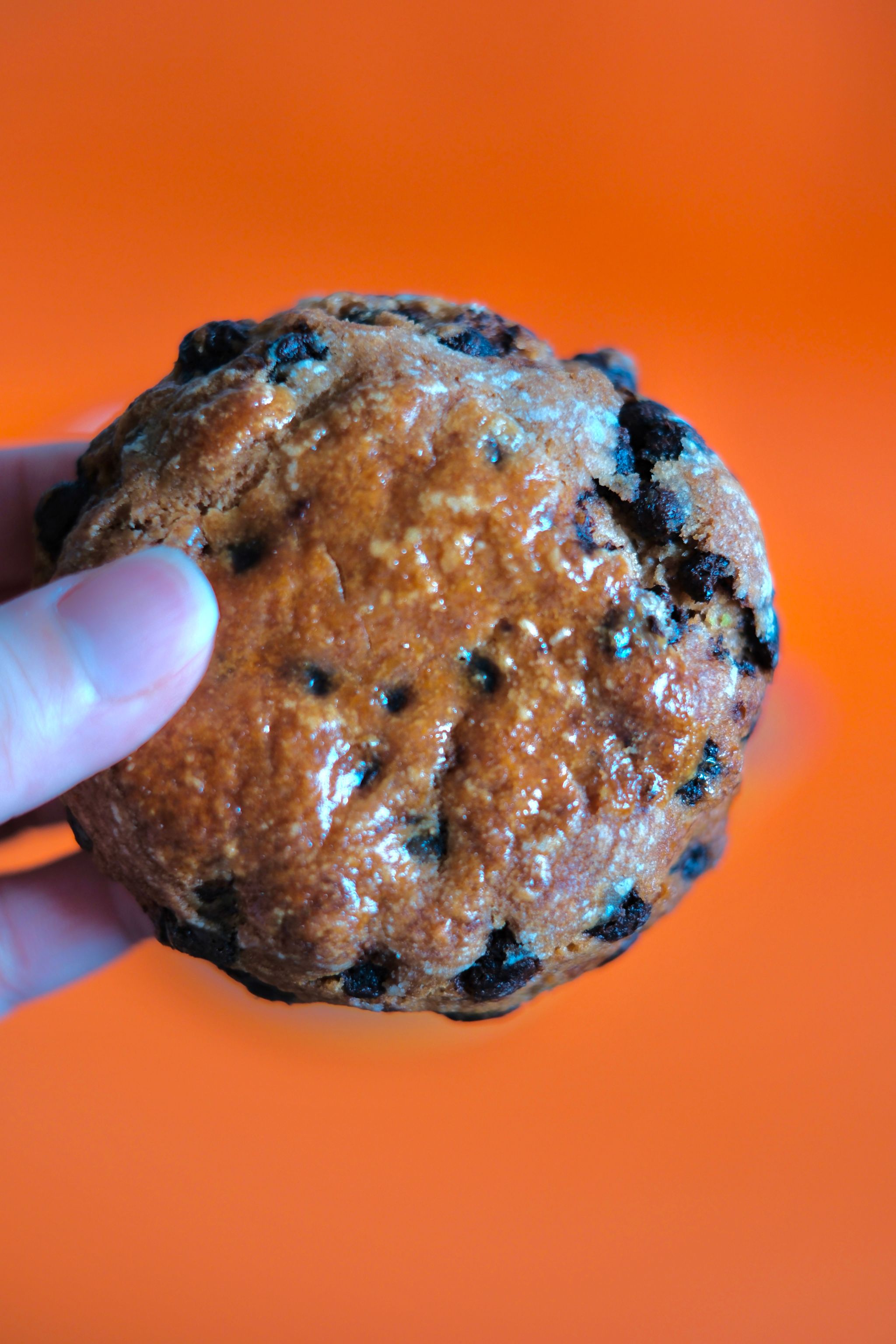 Choco Chip Scone_0