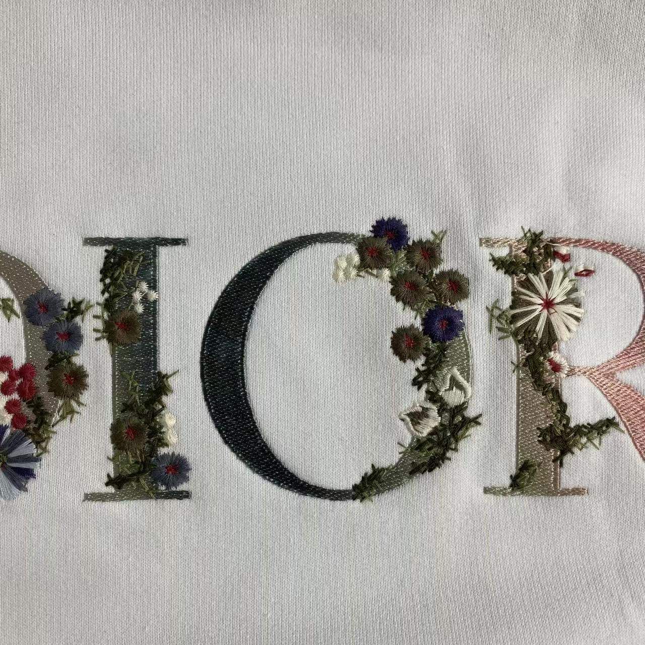 Dior Hoodie _5