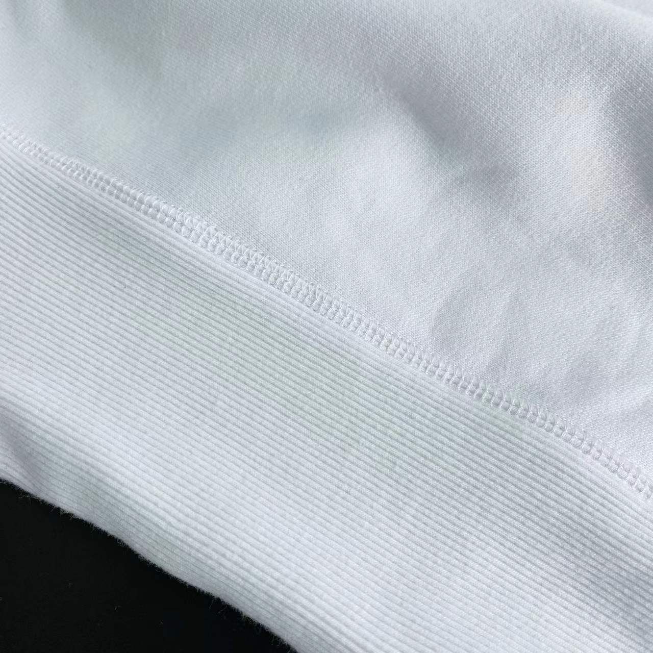 Dior Hoodie _2