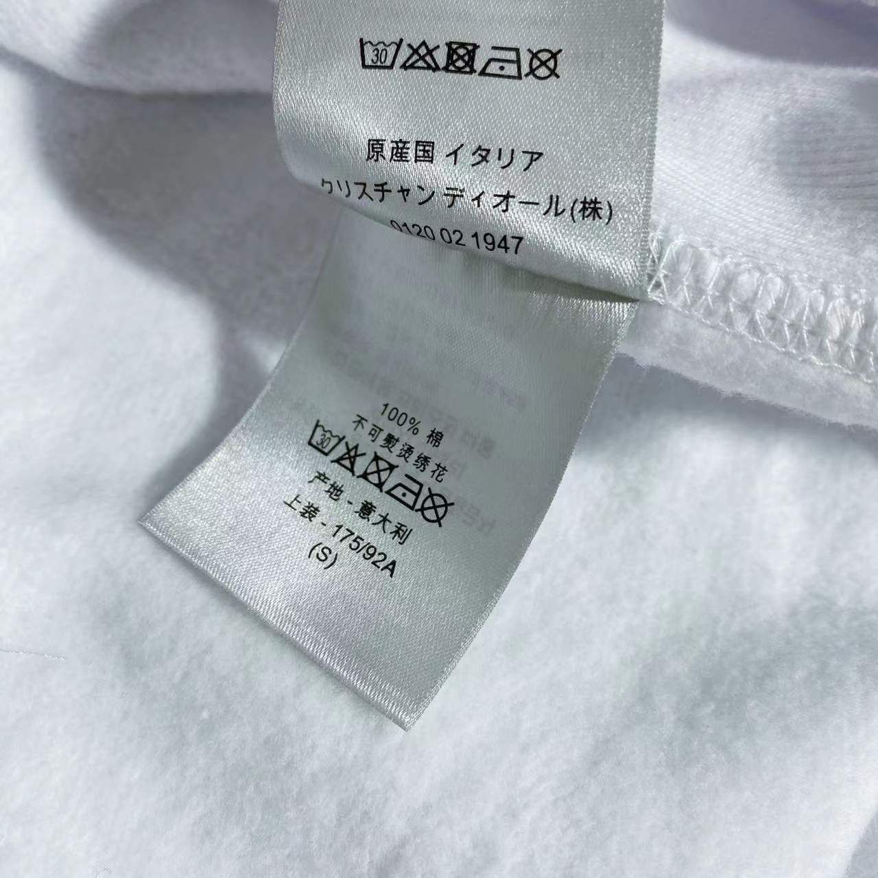 Dior Hoodie _9