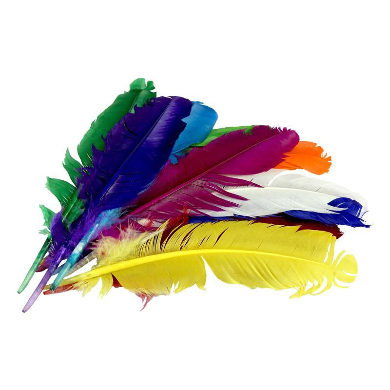 Pluma de Gallo Color Surtido 10gr (9 Plumas 17cm)  _0