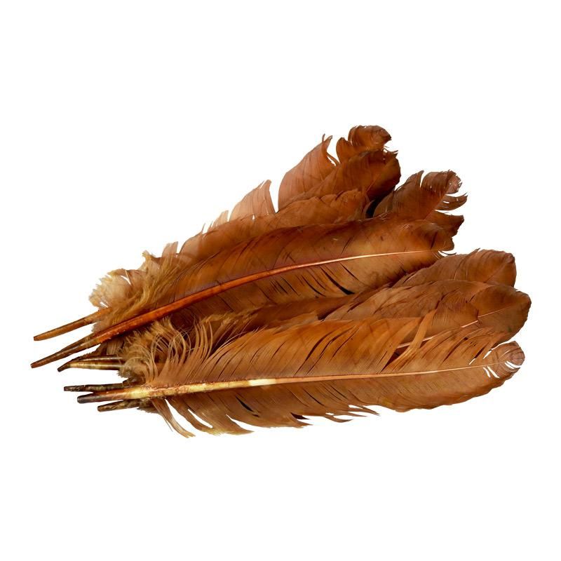 Pluma de Gallo Cafe 10gr (9 Plumas 17cm)  _0