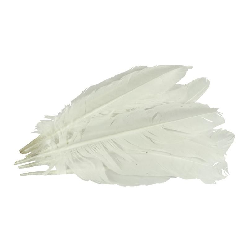 Pluma de Gallo Blanca 10gr (9 Plumas 17cm)     _0