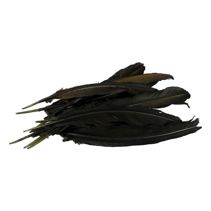 Pluma de Gallo Negra 10gr (9 Plumas 17cm)     _0