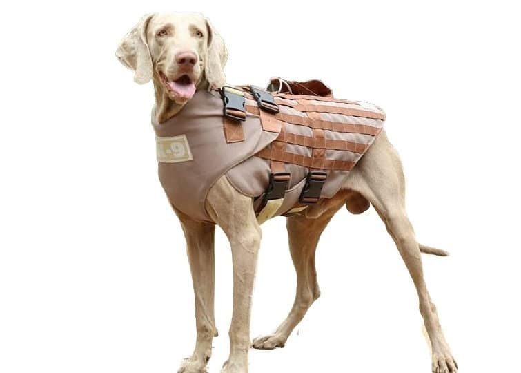 Dog IIIA Bullet Proof Vest _0