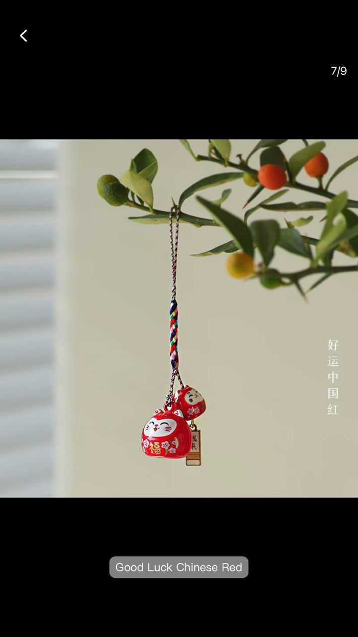 Japanese Retro Lucky Cat_2