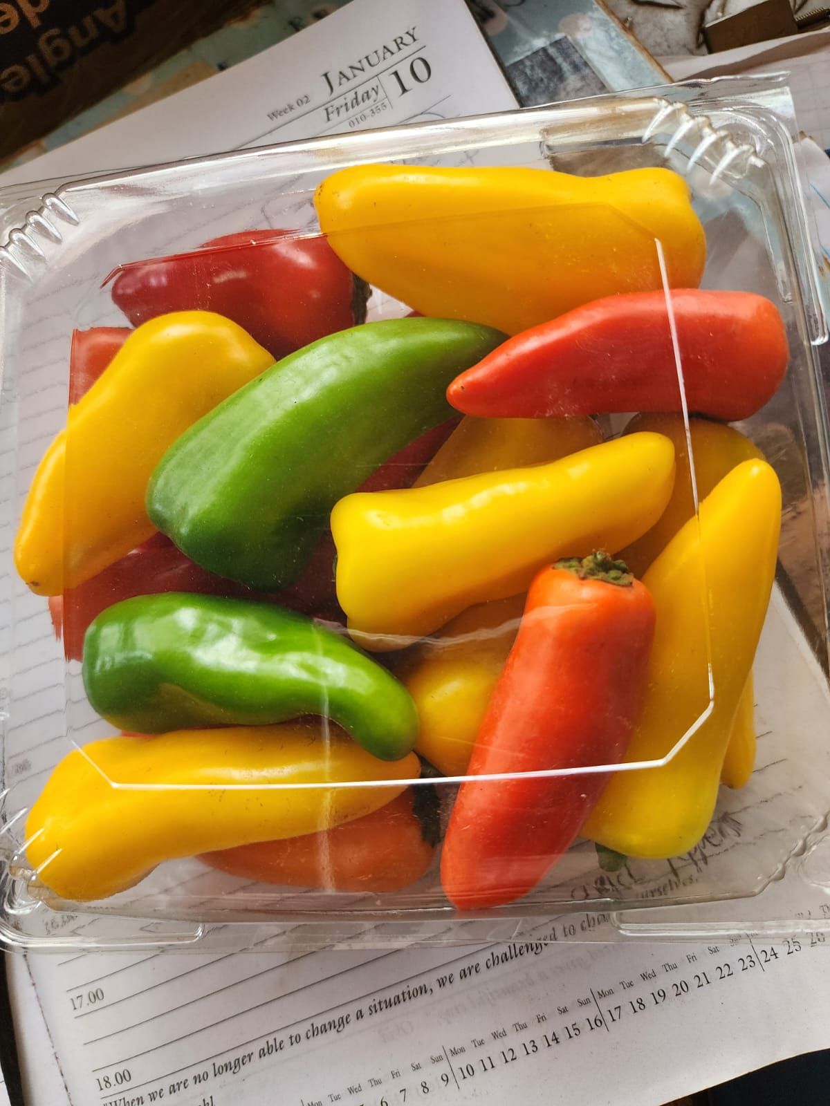 Snacking peppers_0