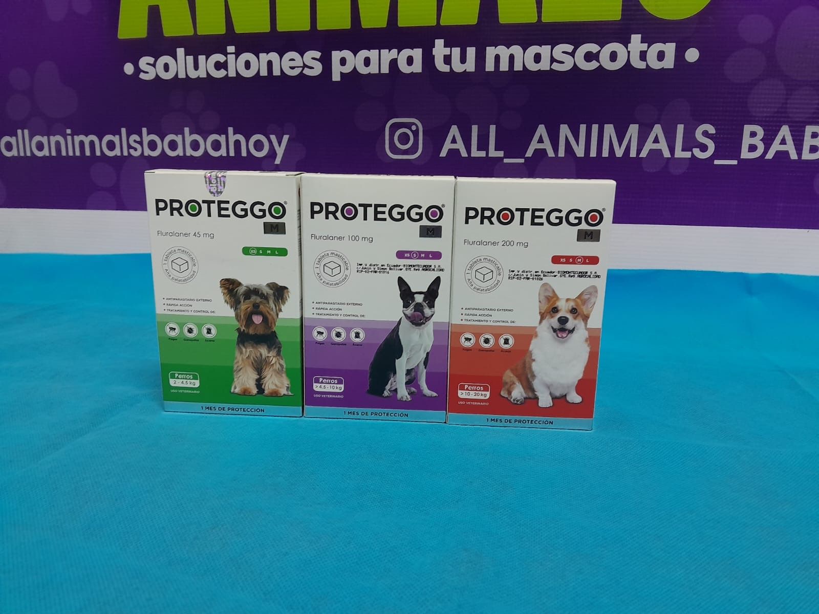 Proteggo de 4,5 a 10 kilos_0