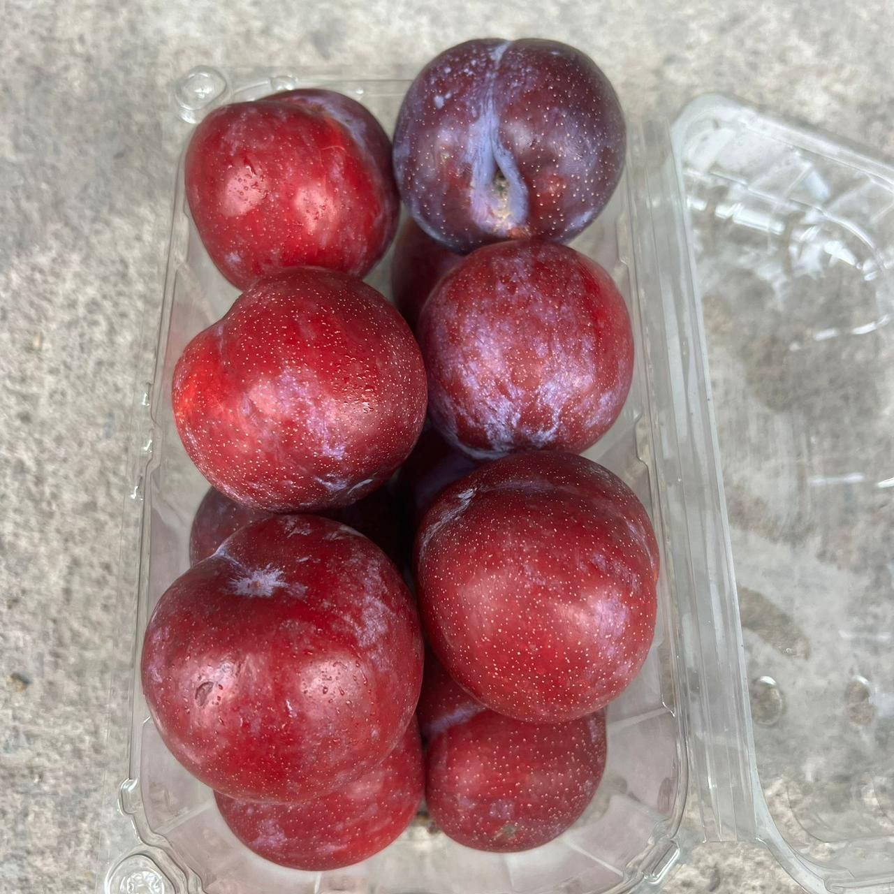 Punnet plums_0