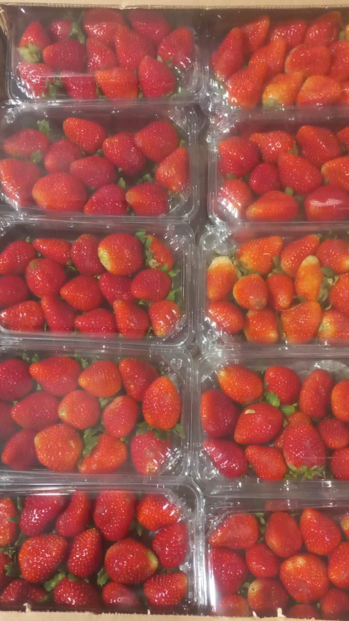 250g strawberries_0