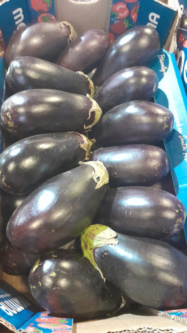 Brinjal organic_0