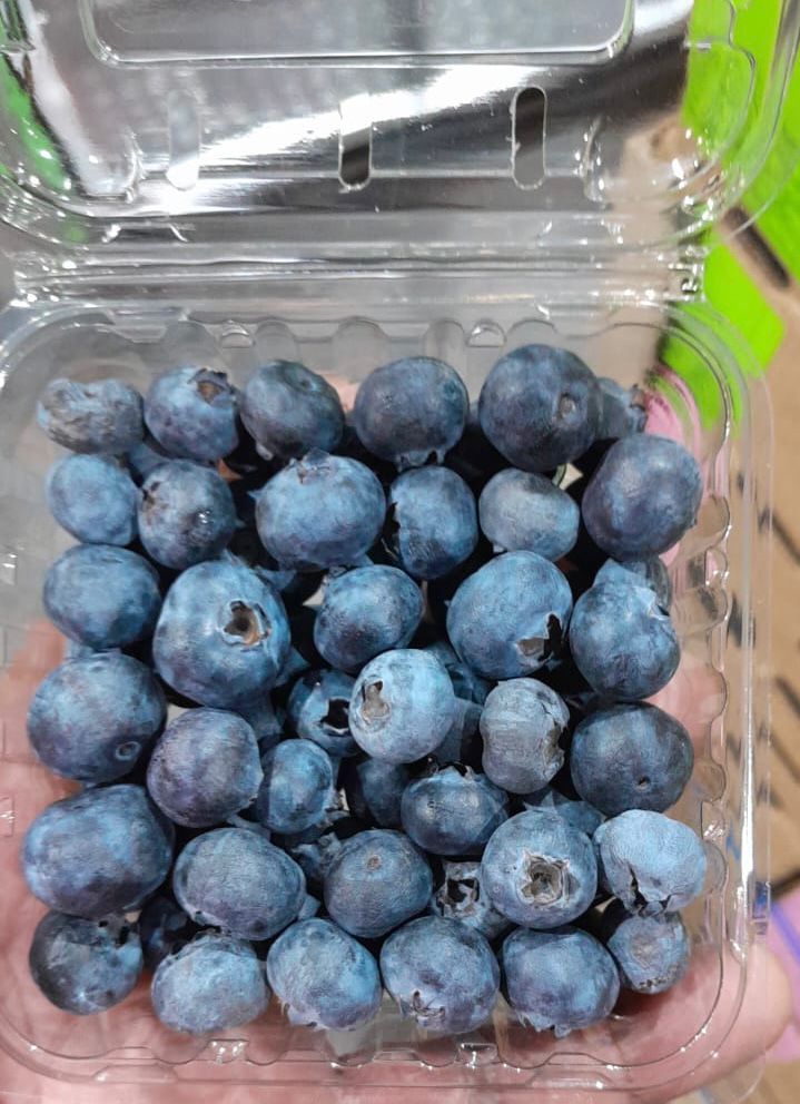 125 g  BLUEBERRIES_0