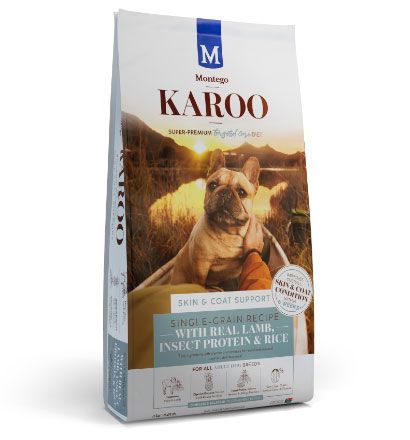 Karoo Adult_1