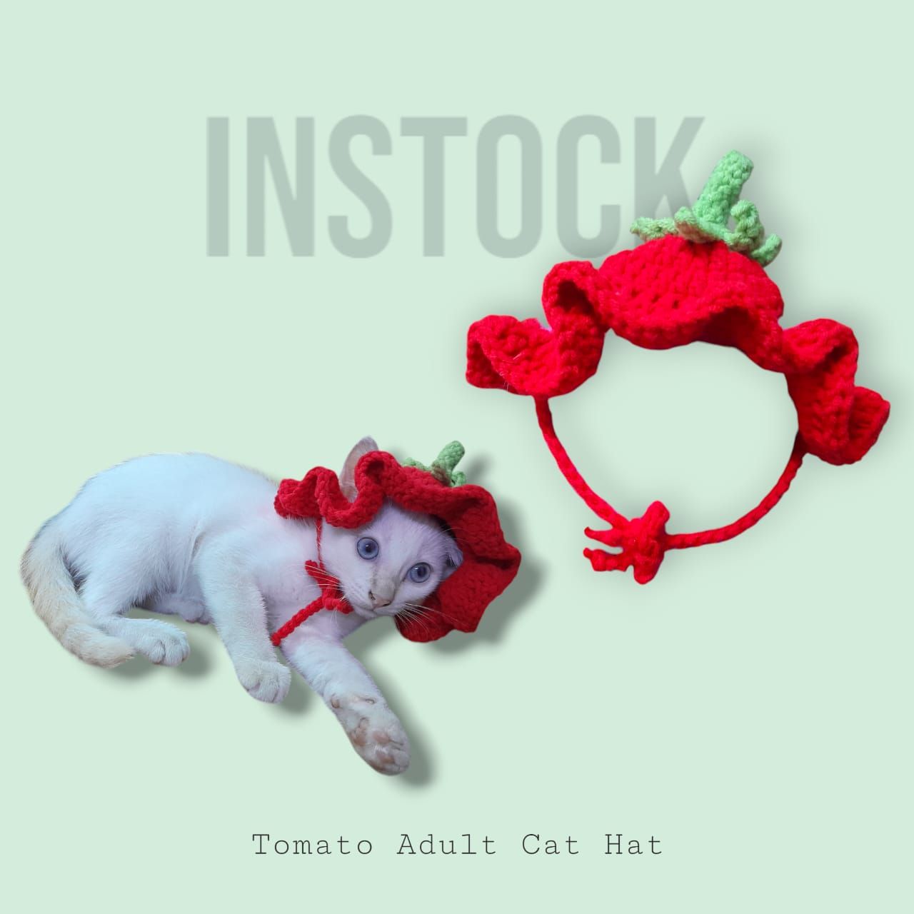 [INSTOCK] Adult Cat Hat_0