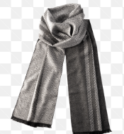 Dion Men's Scarf _0