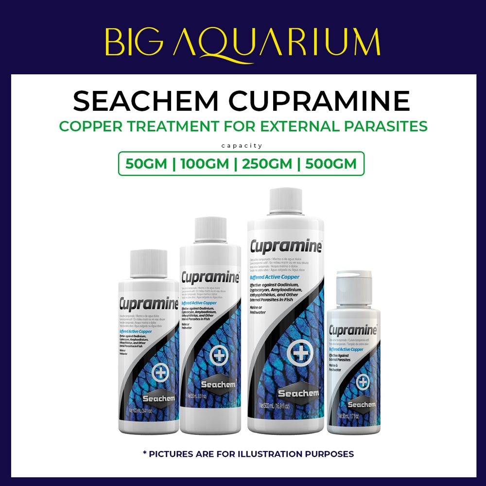 Seachem Cupramine - treating ectoparasites freshwater & marine fish ( 50ML / 100ML / 250ML / 500ML )_0