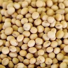 SOYA BEANS 25KG_0