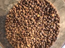 LENTILS BROWN 25KG  _0