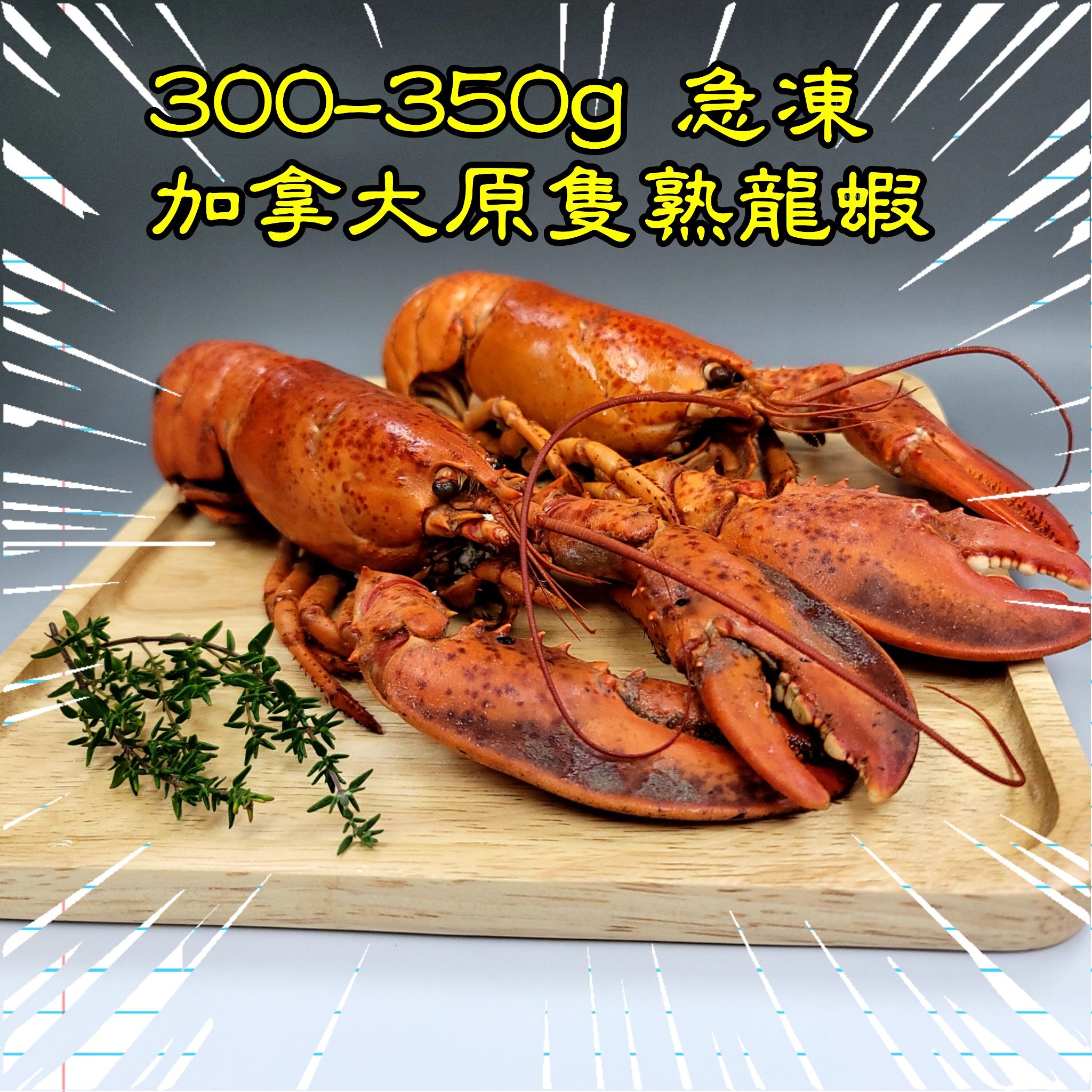 300-350g 急凍加拿大原隻熟龍蝦                     _1