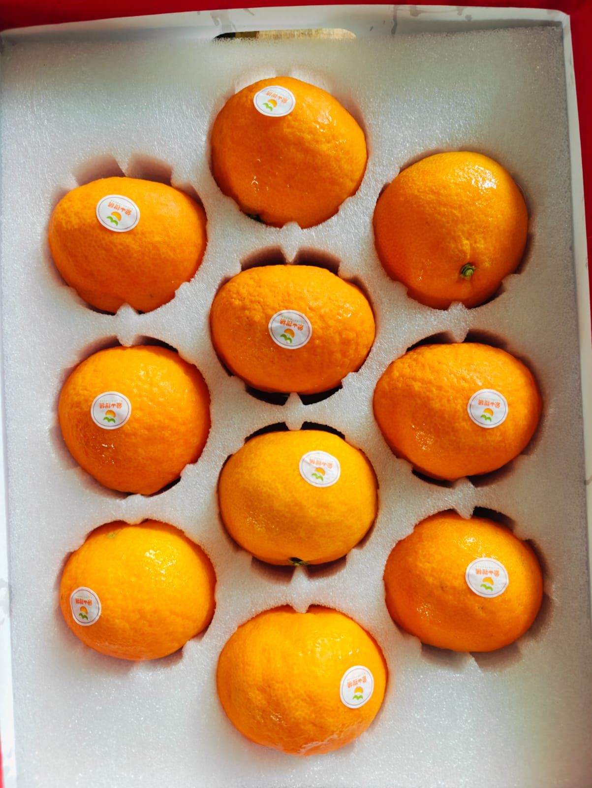 China Premium Red Beauty Mandarin 2.5KG (8-10pcs) CNY_0